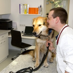 Herr Dr. Pagl und sein Hund