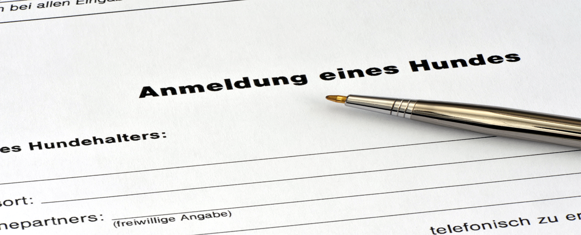 Anmeldung für Hund