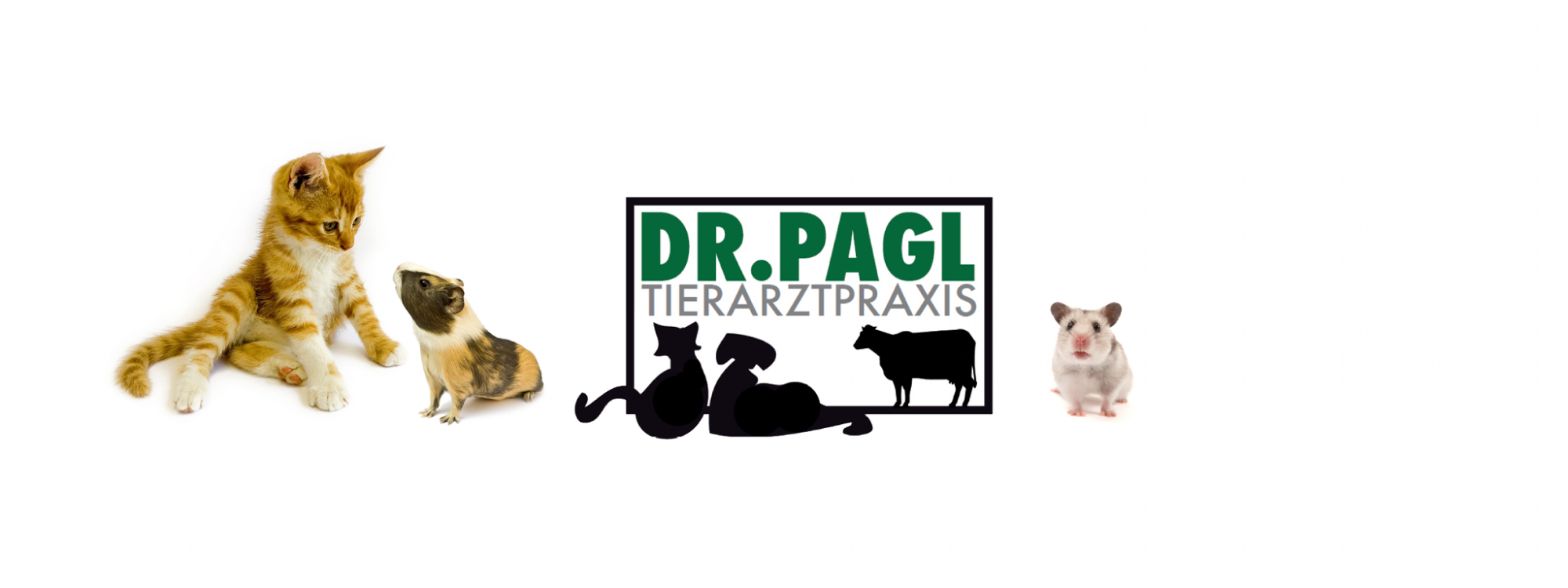 Katze, Hamster, Maus