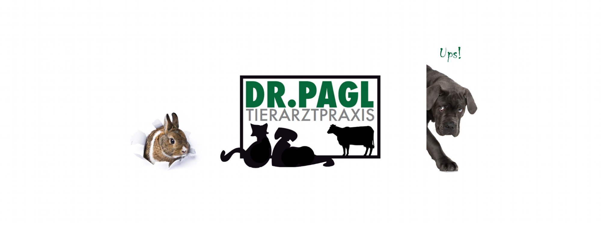 Hase und Dogge