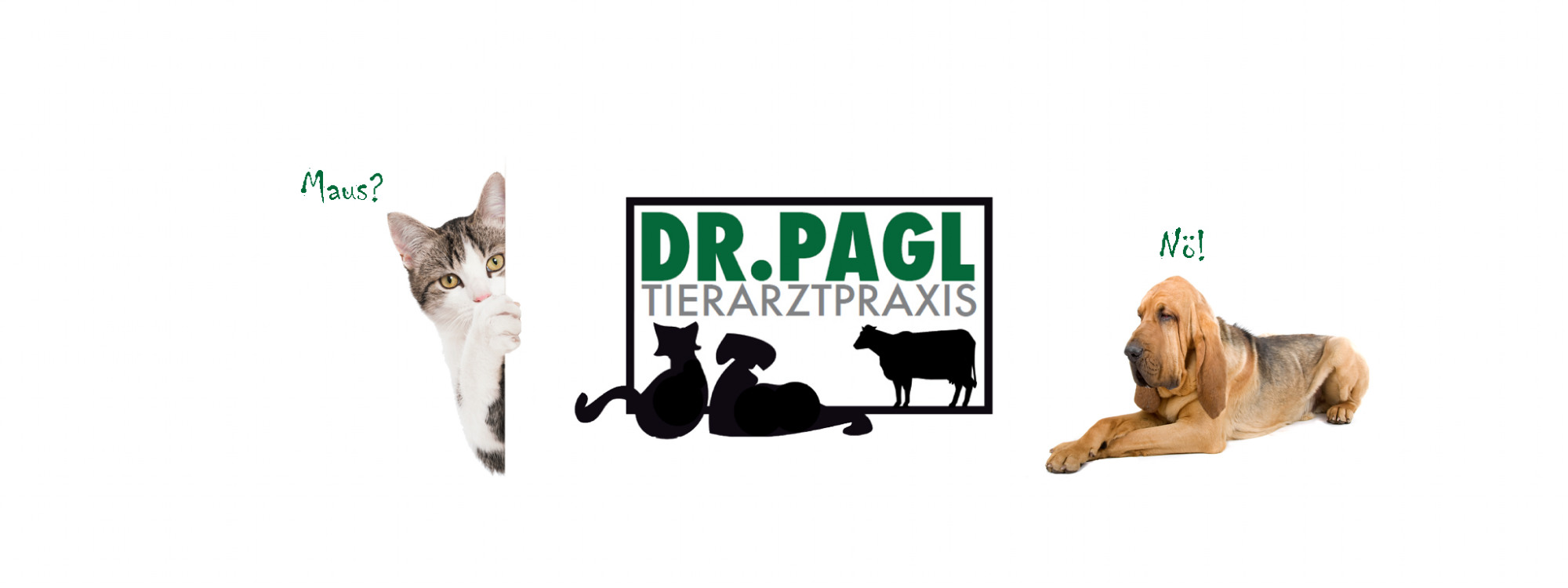 Katze und Hund