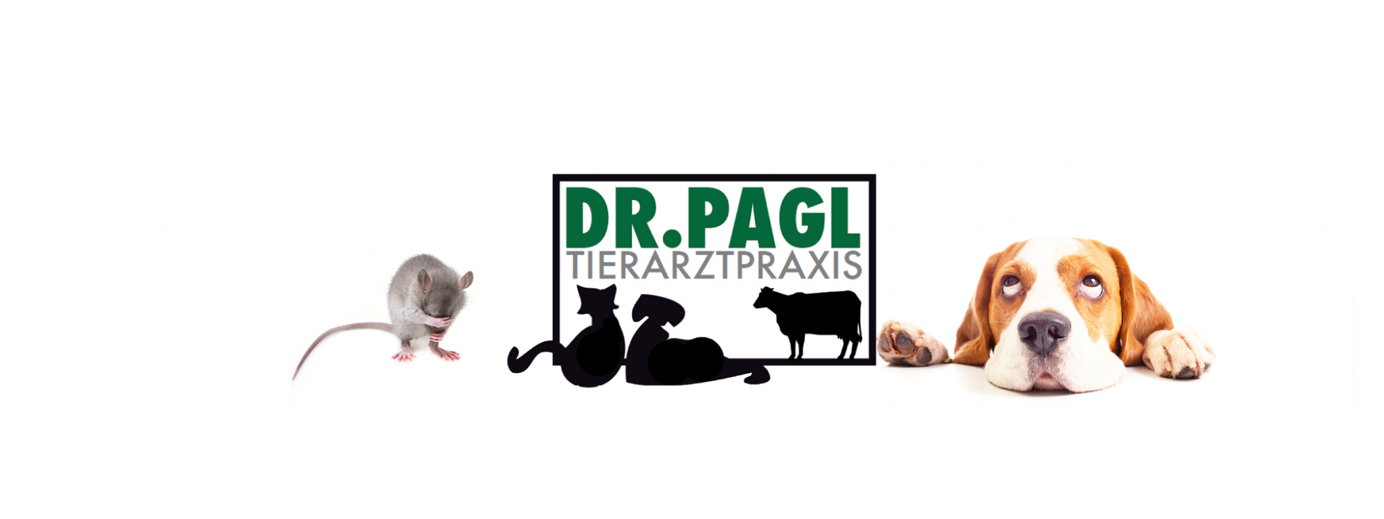 Maus und Hund