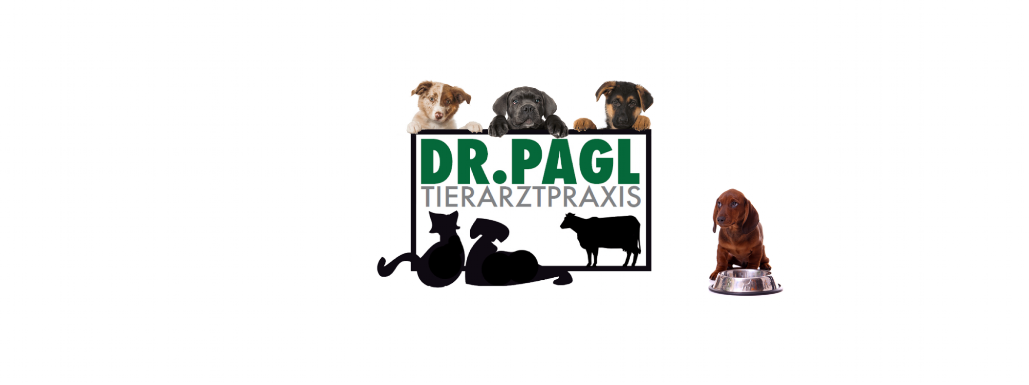Hundewelpen